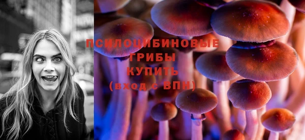гидропоника Карталы