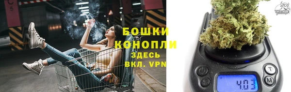гидропоника Карталы