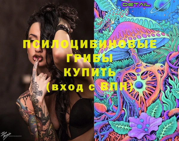 круглые Карпинск