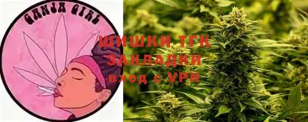 круглые Карпинск
