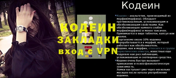 круглые Карпинск